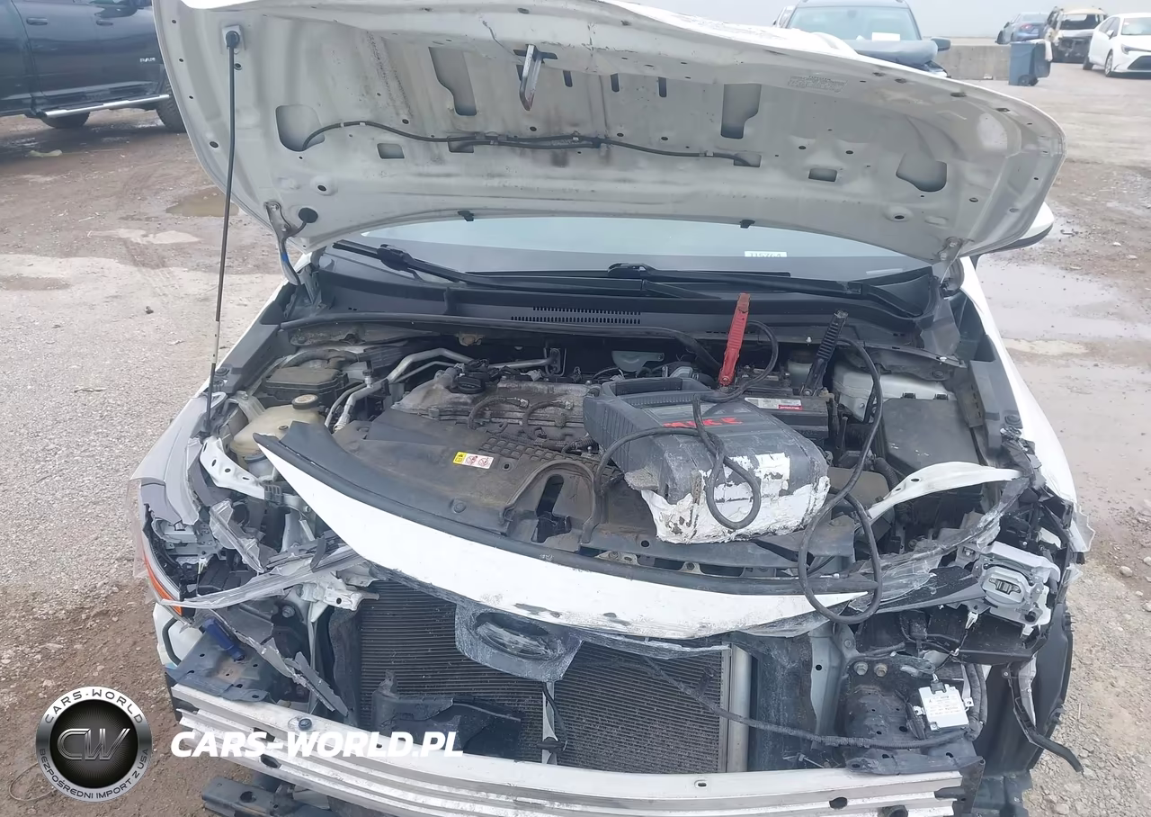 2020 Toyota Corolla Le VIN:JTDEPRAEXLJ036647 - 10