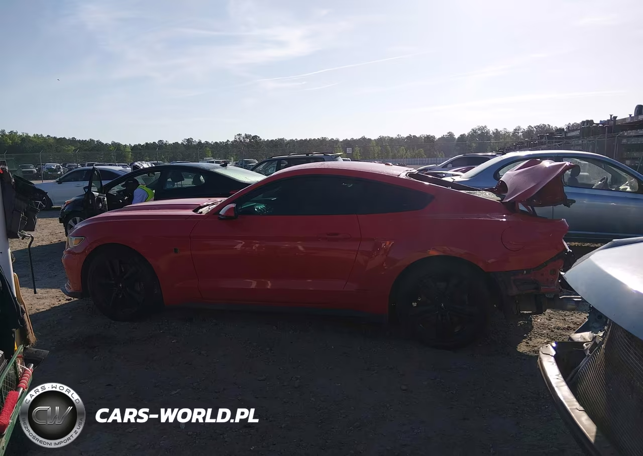 2015 Ford Mustang Ecoboost VIN:1FA6P8TH9F5307075 - 15