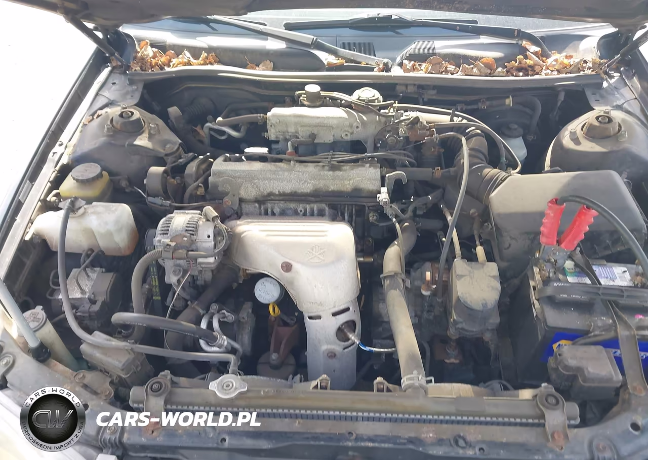 2000 Toyota Camry Le VIN:JT2BG22K8Y0465726 - 10
