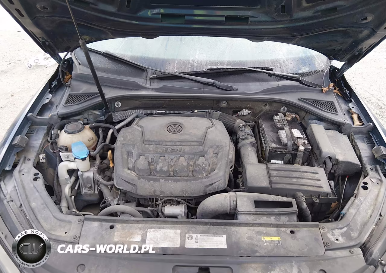 2019 Volkswagen Passat 2.0T Wolfsburg Edition VIN:1VWLA7A30KC013664 - 10
