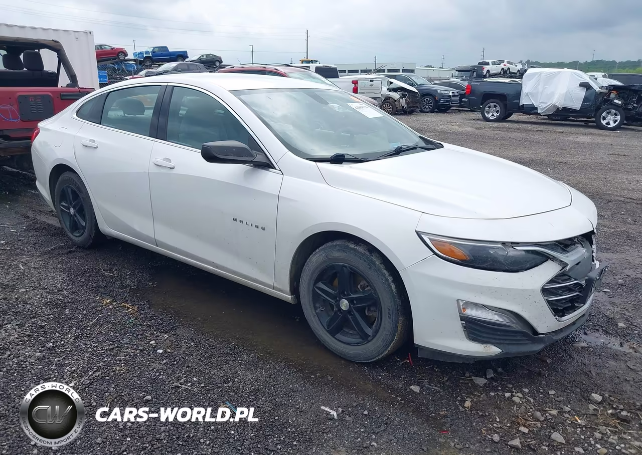 2020 Chevrolet Malibu Fwd 1Fl VIN:1G1ZC5ST3LF001589 - 13