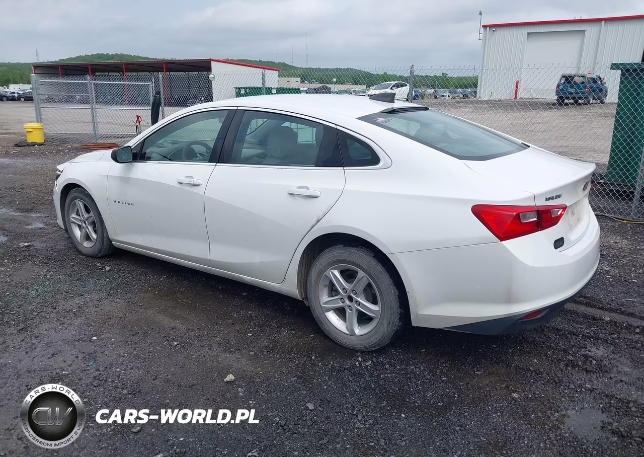 2020 Chevrolet Malibu Fwd 1Fl VIN:1G1ZC5ST3LF001589 - 3