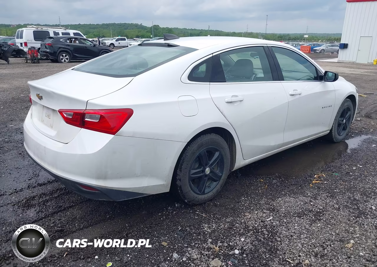2020 Chevrolet Malibu Fwd 1Fl VIN:1G1ZC5ST3LF001589 - 4