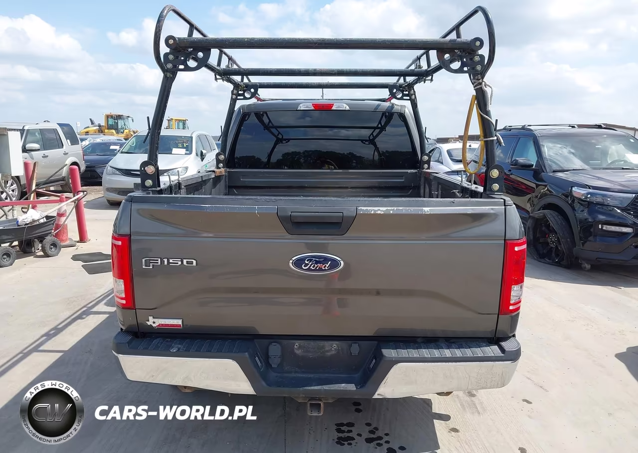 2016 Ford F-150 Xlt VIN:1FTEX1CP3GKG04494 - 16