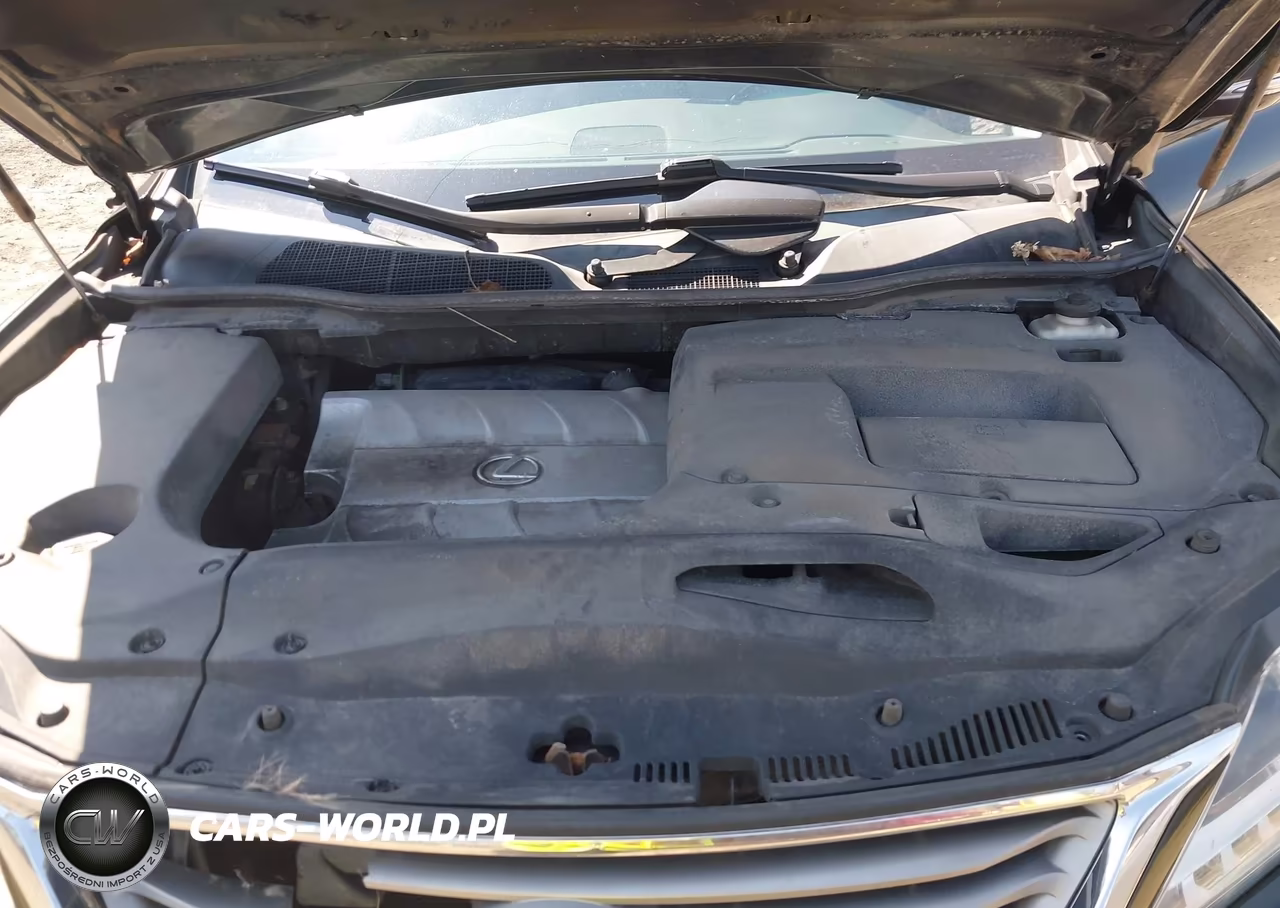 2013 Lexus Rx 350 VIN:2T2BK1BA8DC209783 - 10