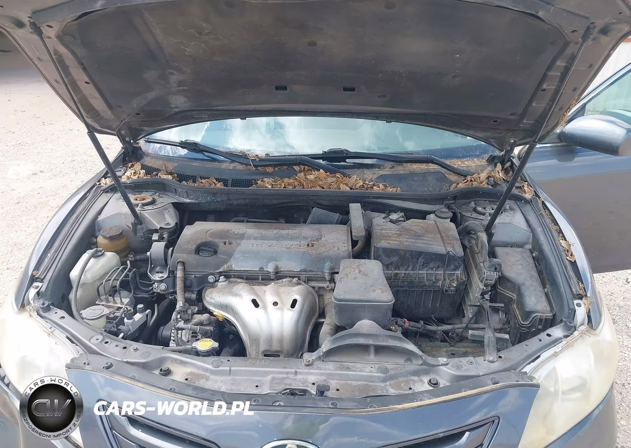2008 Toyota Camry Le VIN:4T4BE46KX8R030008 - 10