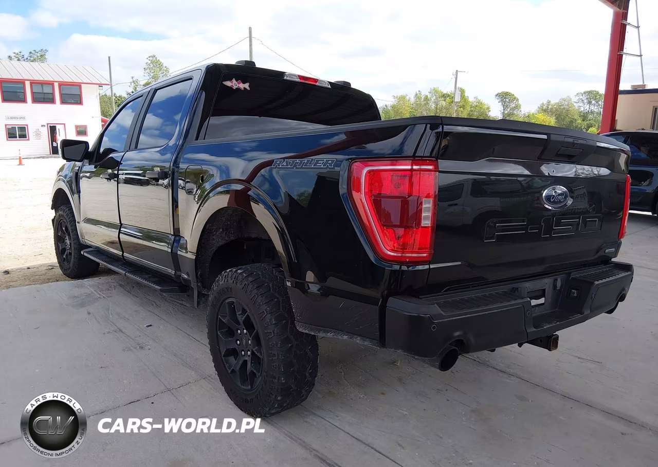 2023 Ford F-150 Xl VIN:1FTFW1E88PFA39553 - 3