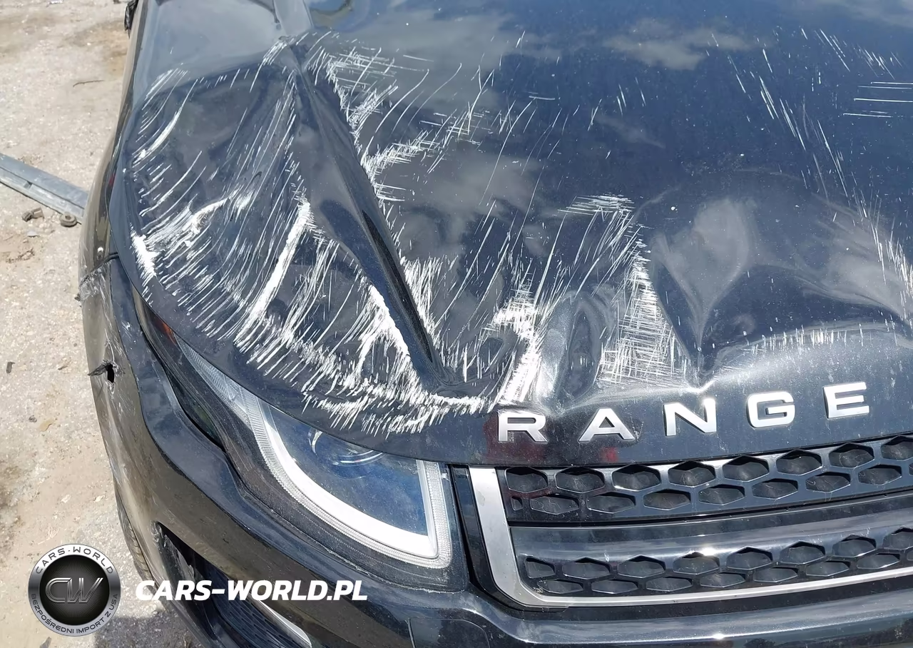 2016 Land Rover Range Rover Evoque Se-Se Premium VIN:SALVP2BG3GH161051 - 6