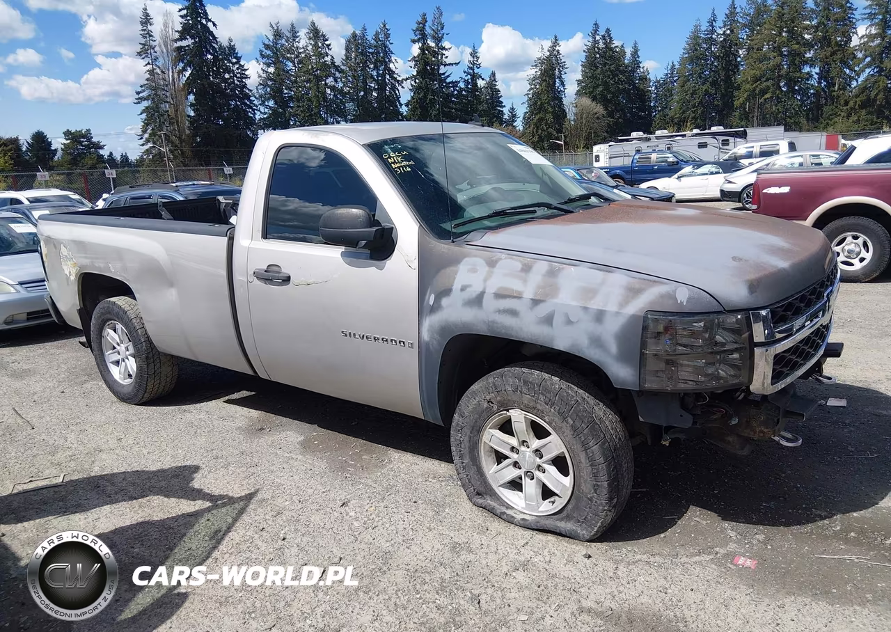2008 Chevrolet Silverado 1500 Work Truck