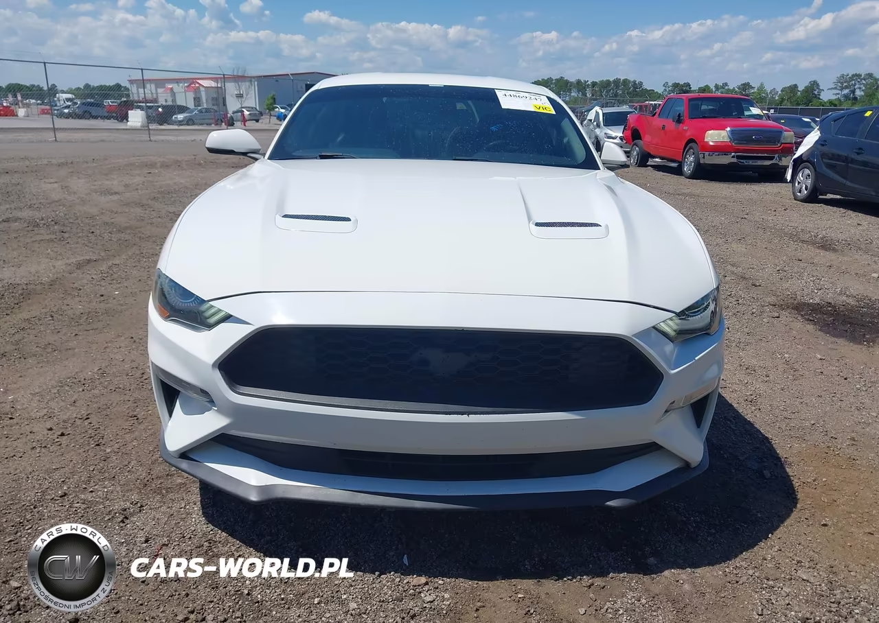 2020 Ford Mustang Ecoboost Premium Fastback VIN:1FA6P8TH1L5139069 - 13