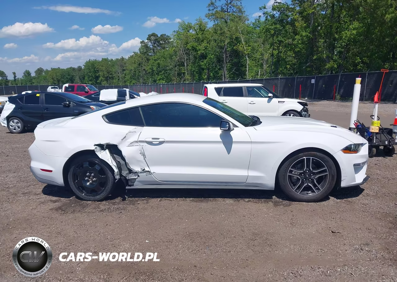 2020 Ford Mustang Ecoboost Premium Fastback VIN:1FA6P8TH1L5139069 - 14