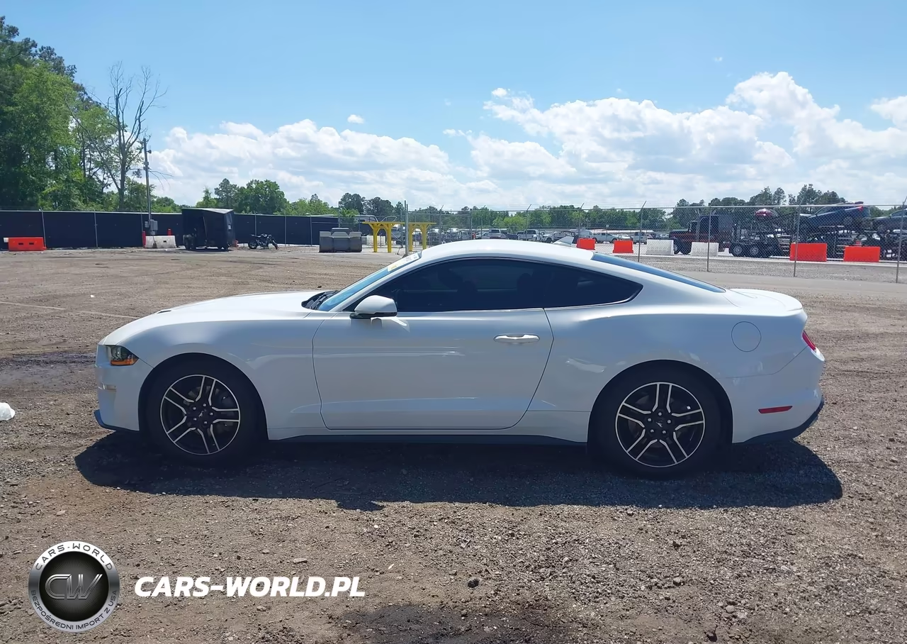 2020 Ford Mustang Ecoboost Premium Fastback VIN:1FA6P8TH1L5139069 - 15