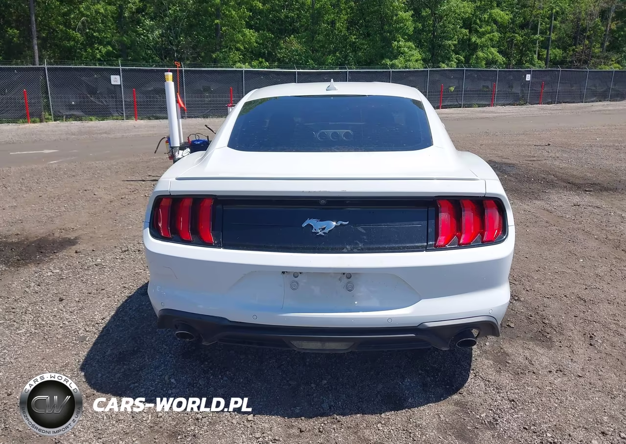 2020 Ford Mustang Ecoboost Premium Fastback VIN:1FA6P8TH1L5139069 - 17