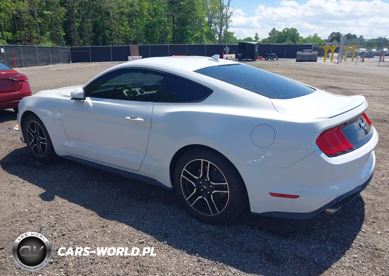 2020 Ford Mustang Ecoboost Premium Fastback VIN:1FA6P8TH1L5139069 - 3