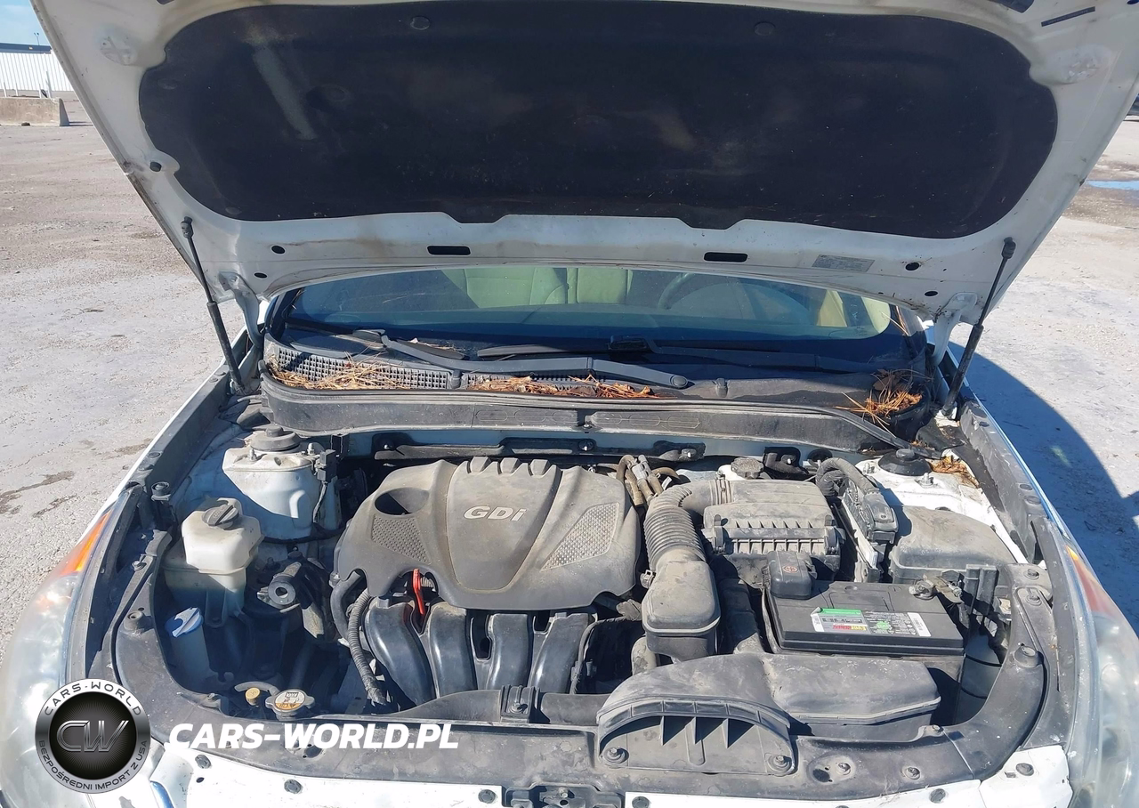 2013 Hyundai Sonata Gls VIN:5NPEB4AC7DH602418 - 10