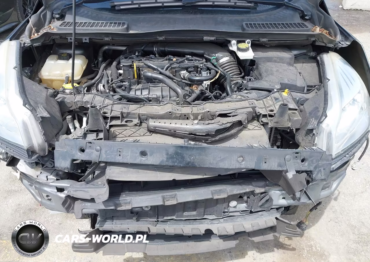 2016 Ford Escape Se VIN:1FMCU0GX8GUB99317 - 10