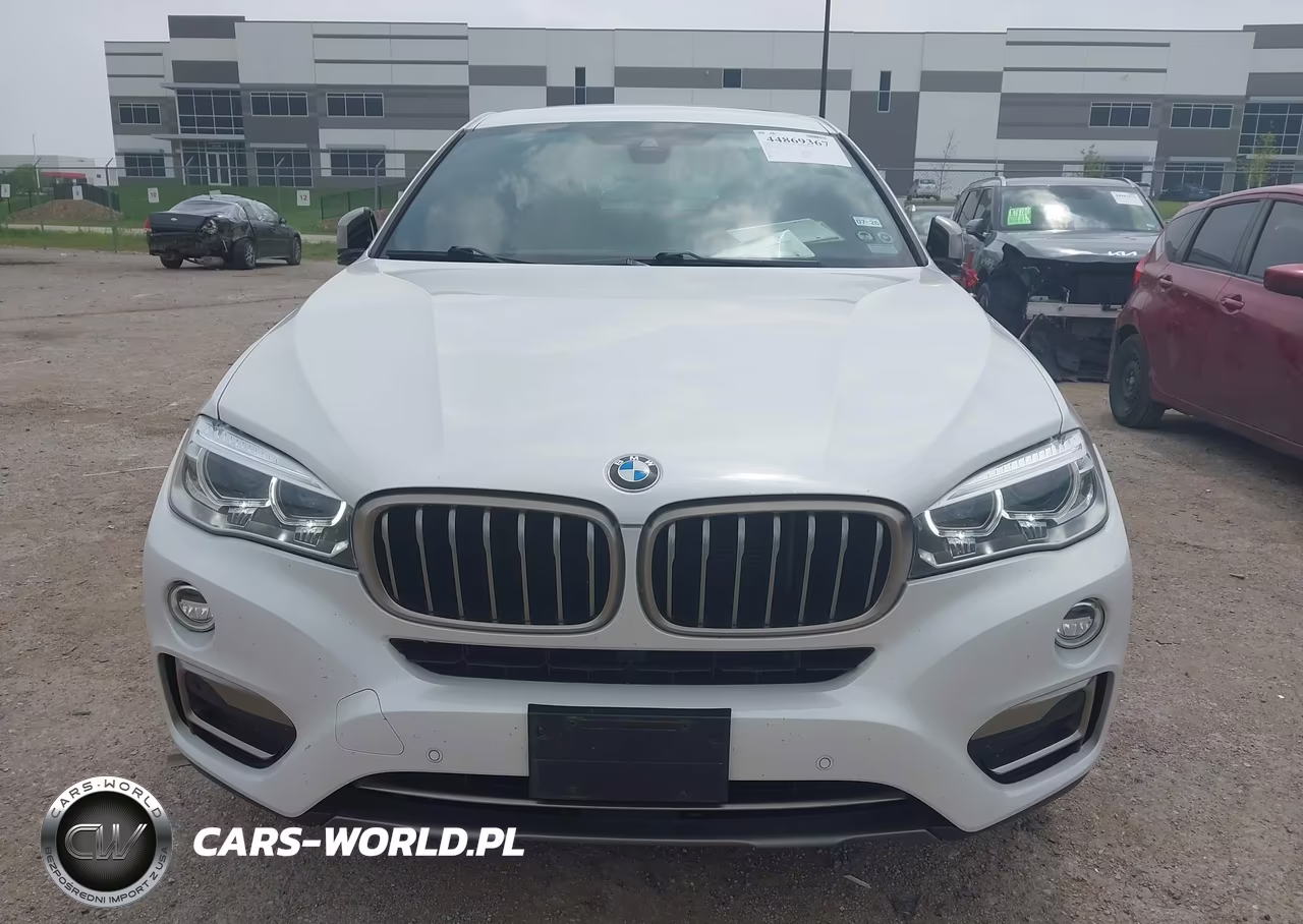 2018 BMW X6 Sdrive35I VIN:5UXKU0C50J0G80621 - 12