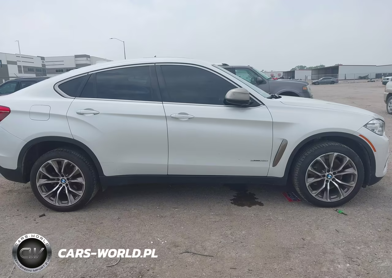 2018 BMW X6 Sdrive35I VIN:5UXKU0C50J0G80621 - 13