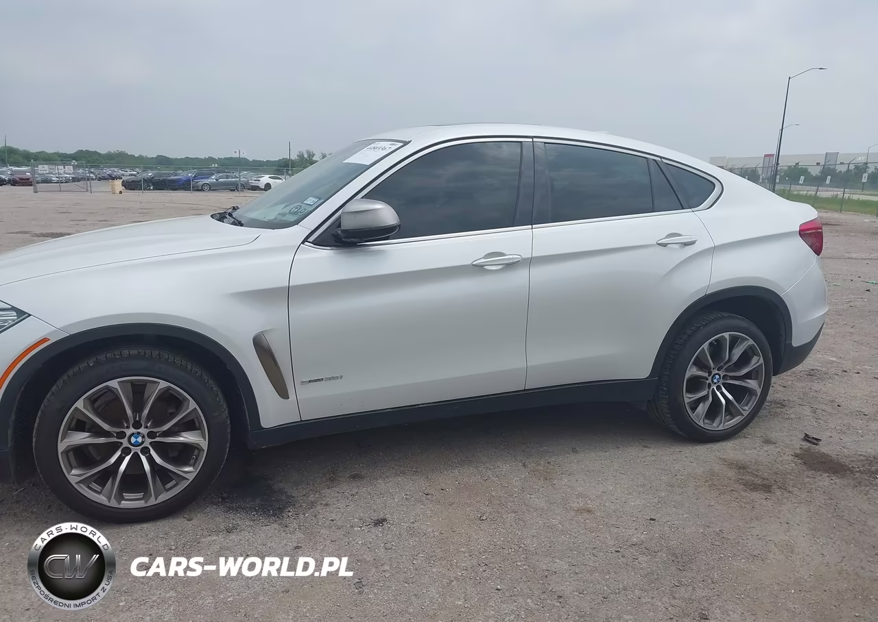2018 BMW X6 Sdrive35I VIN:5UXKU0C50J0G80621 - 14