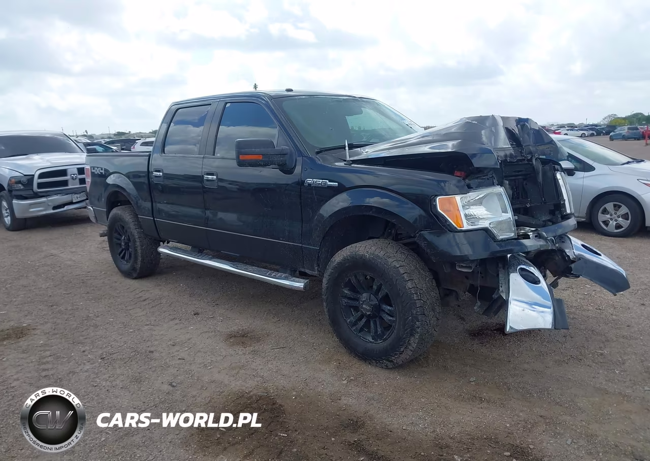 2010 Ford F-150 Xl-Xlt