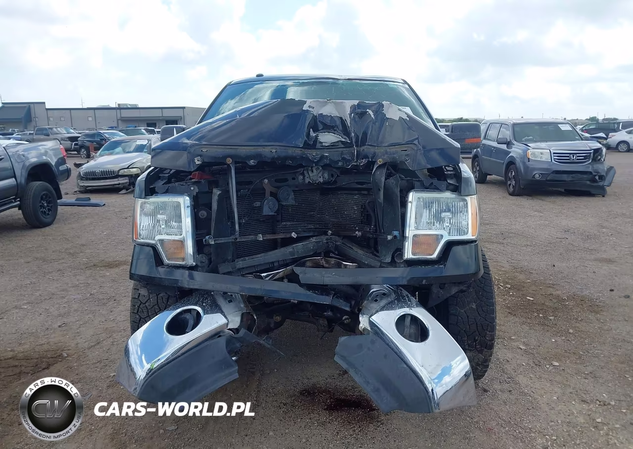 2010 Ford F-150 Xl-Xlt VIN:1FTEW1E83AFD54795 - 12