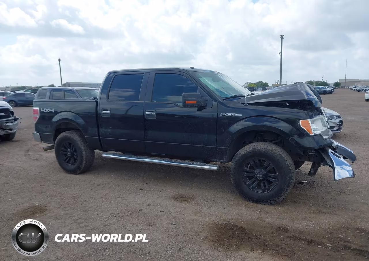 2010 Ford F-150 Xl-Xlt VIN:1FTEW1E83AFD54795 - 13