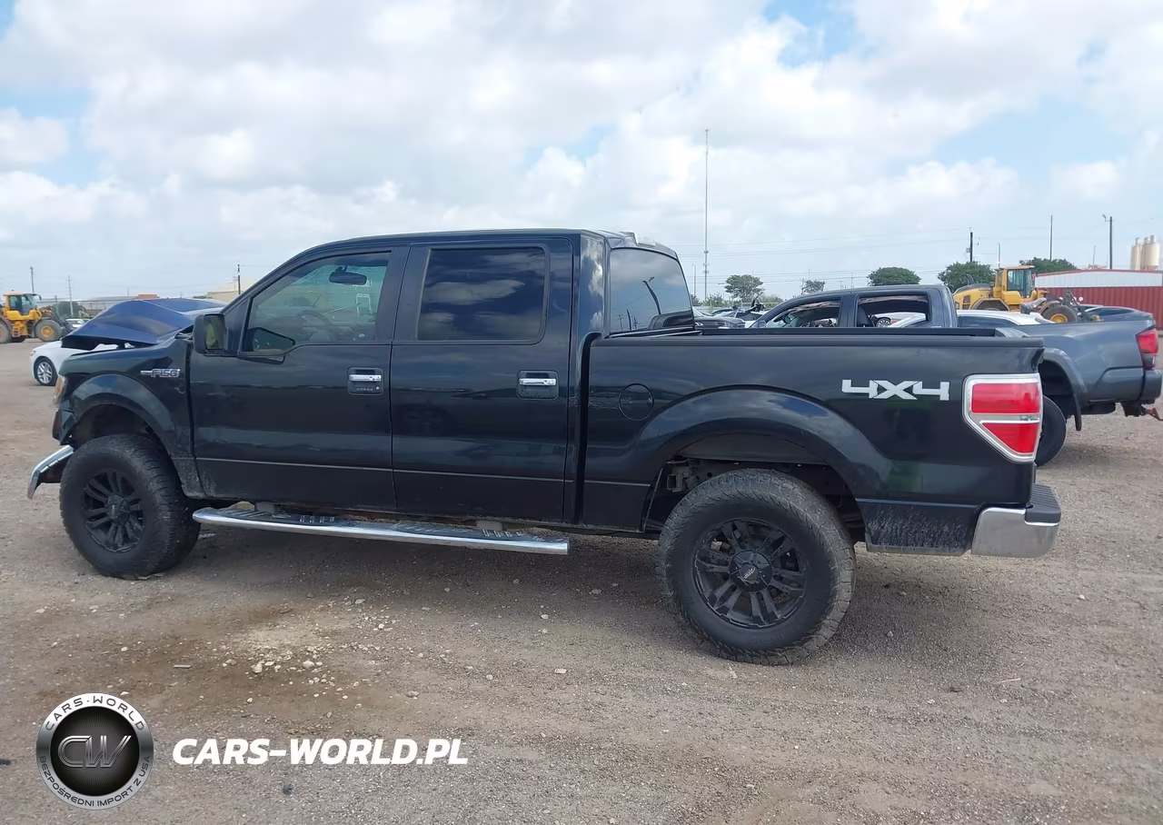 2010 Ford F-150 Xl-Xlt VIN:1FTEW1E83AFD54795 - 14