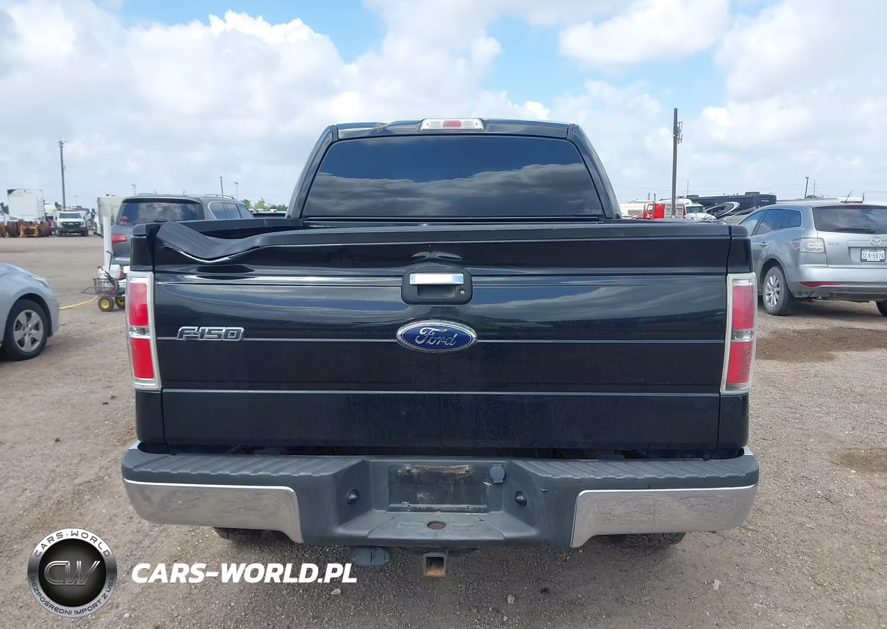 2010 Ford F-150 Xl-Xlt VIN:1FTEW1E83AFD54795 - 16