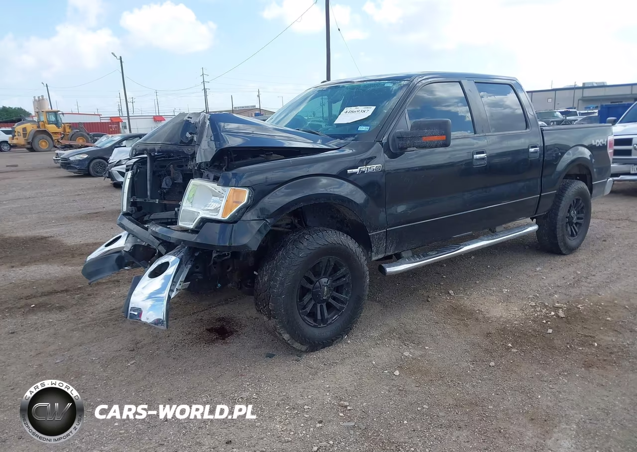 2010 Ford F-150 Xl-Xlt VIN:1FTEW1E83AFD54795 - 2