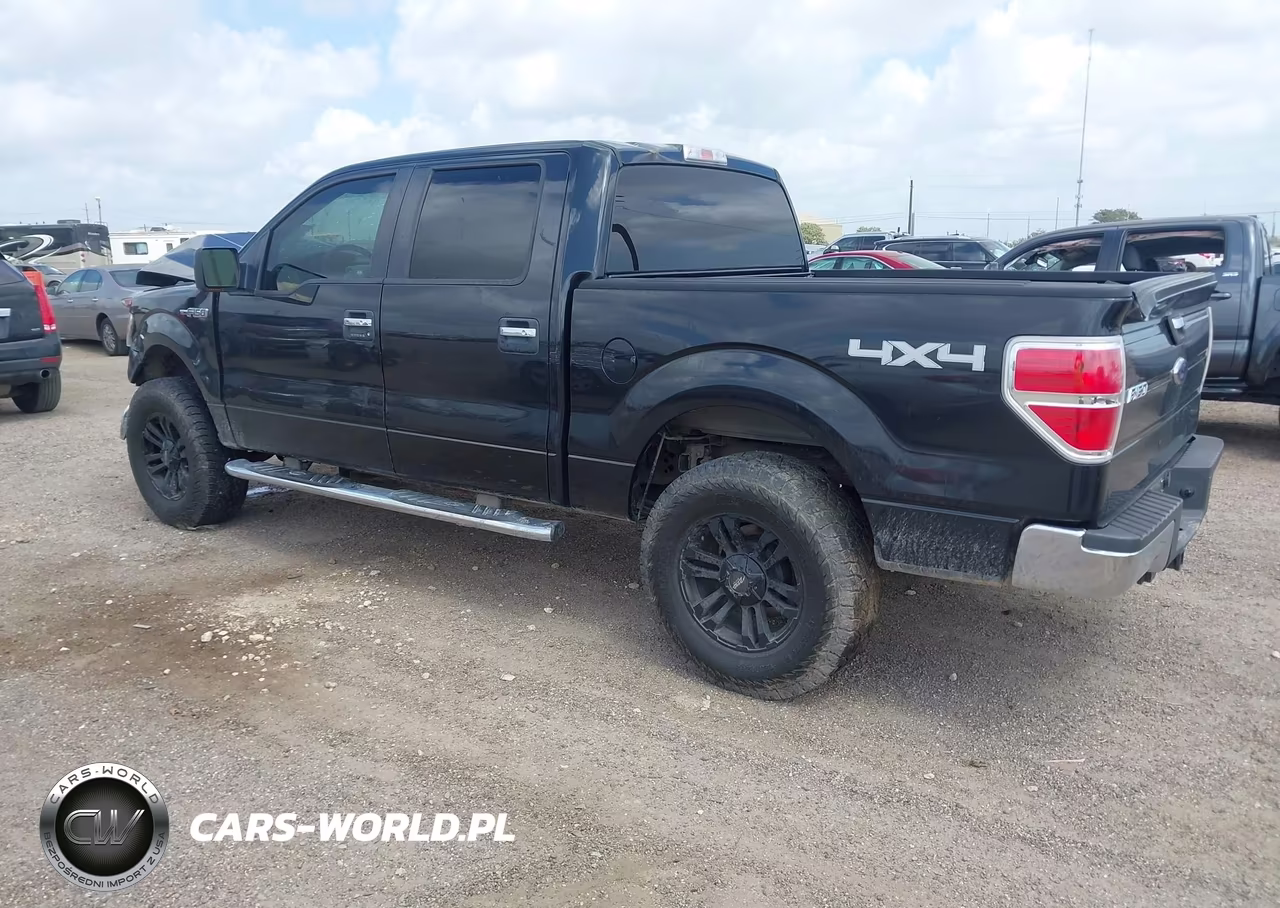 2010 Ford F-150 Xl-Xlt VIN:1FTEW1E83AFD54795 - 3
