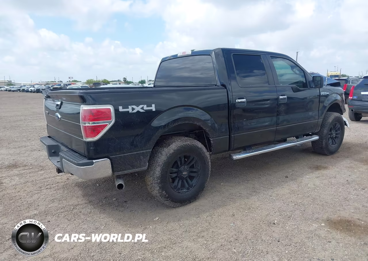 2010 Ford F-150 Xl-Xlt VIN:1FTEW1E83AFD54795 - 4