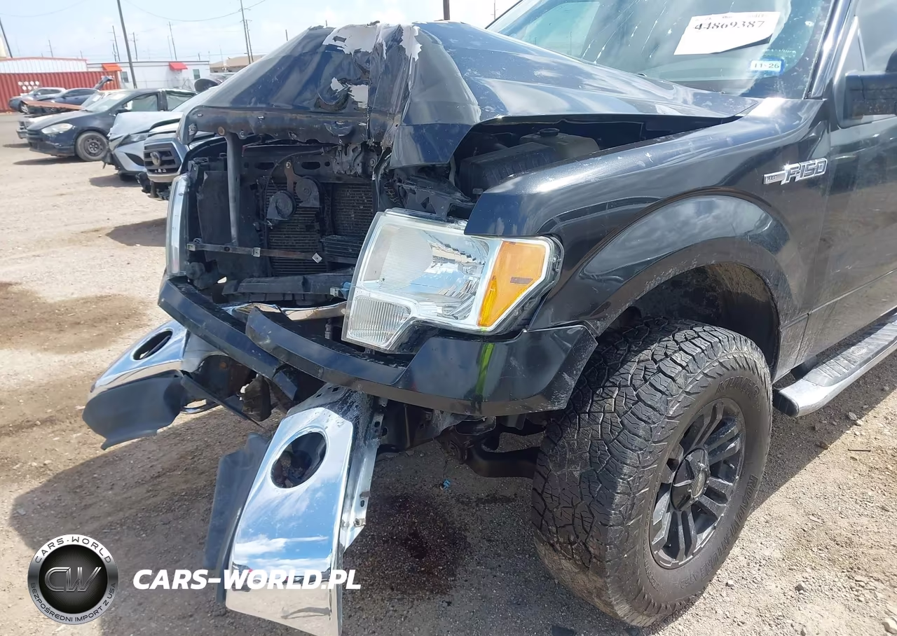 2010 Ford F-150 Xl-Xlt VIN:1FTEW1E83AFD54795 - 6