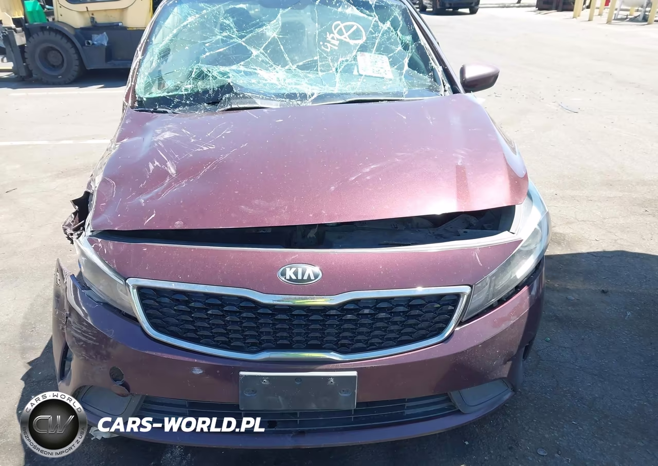 2018 Kia Forte Lx VIN:3KPFK4A7XJE254962 - 12