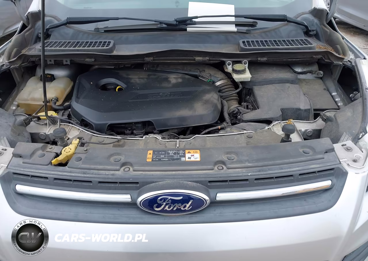 2014 Ford Escape Se VIN:1FMCU0GX1EUD86864 - 10