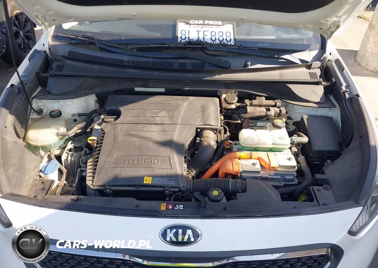 2019 Kia Niro Lx VIN:KNDCB3LC1K5274585 - 10