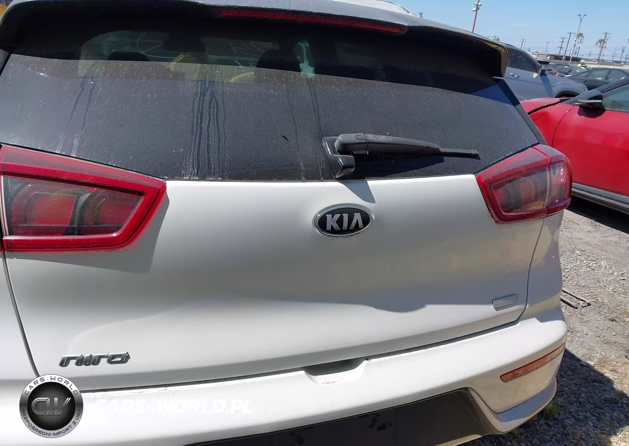 2019 Kia Niro Lx VIN:KNDCB3LC1K5274585 - 17