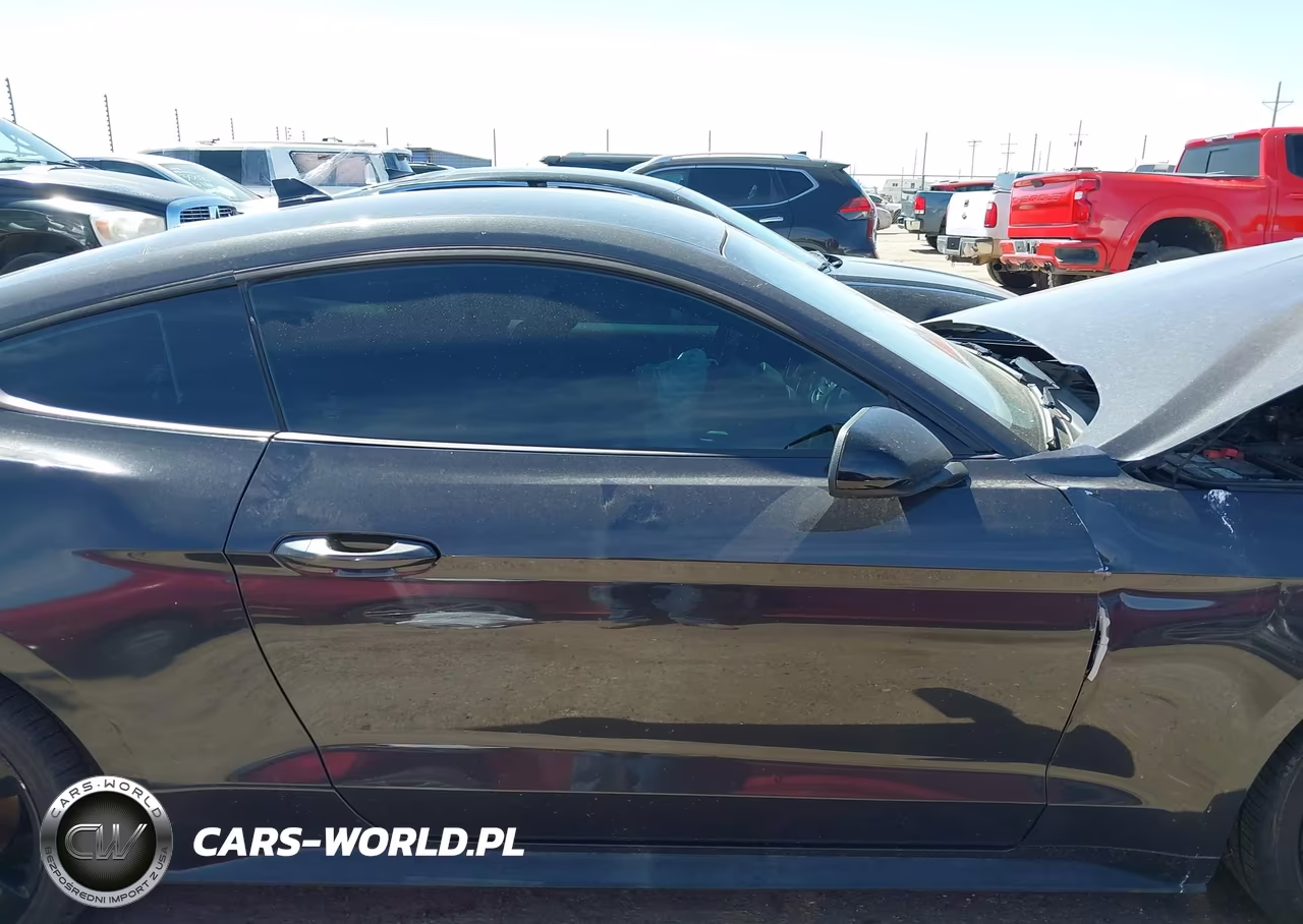 2022 Ford Mustang Ecoboost Fastback VIN:1FA6P8TH6N5110394 - 13