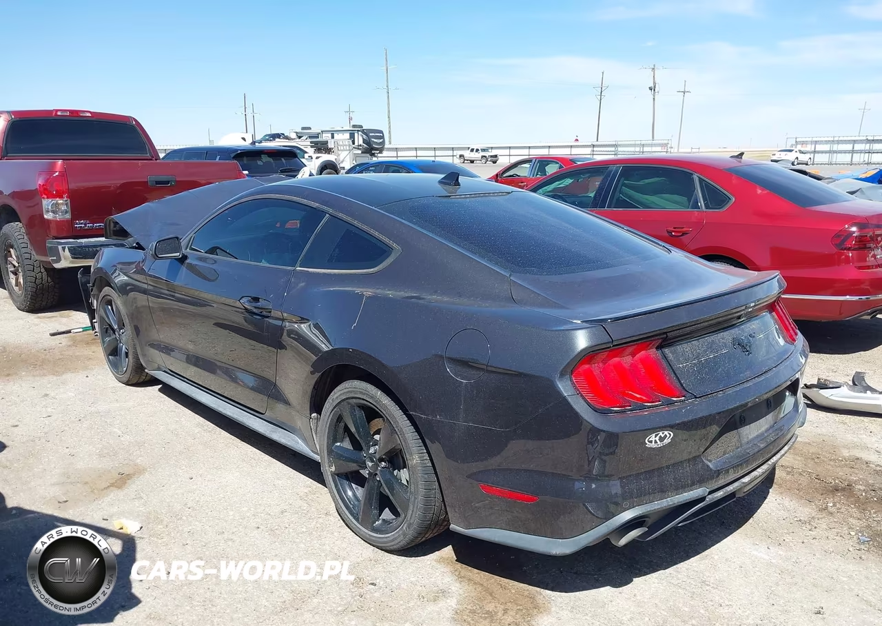 2022 Ford Mustang Ecoboost Fastback VIN:1FA6P8TH6N5110394 - 3