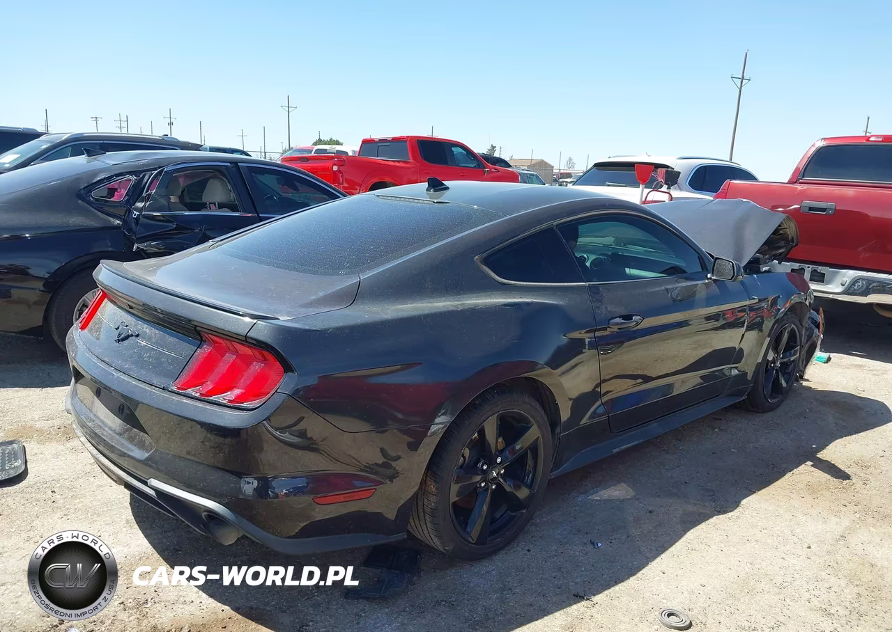 2022 Ford Mustang Ecoboost Fastback VIN:1FA6P8TH6N5110394 - 4