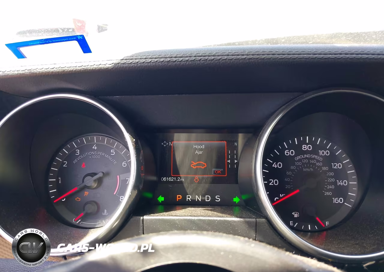 2022 Ford Mustang Ecoboost Fastback VIN:1FA6P8TH6N5110394 - 7