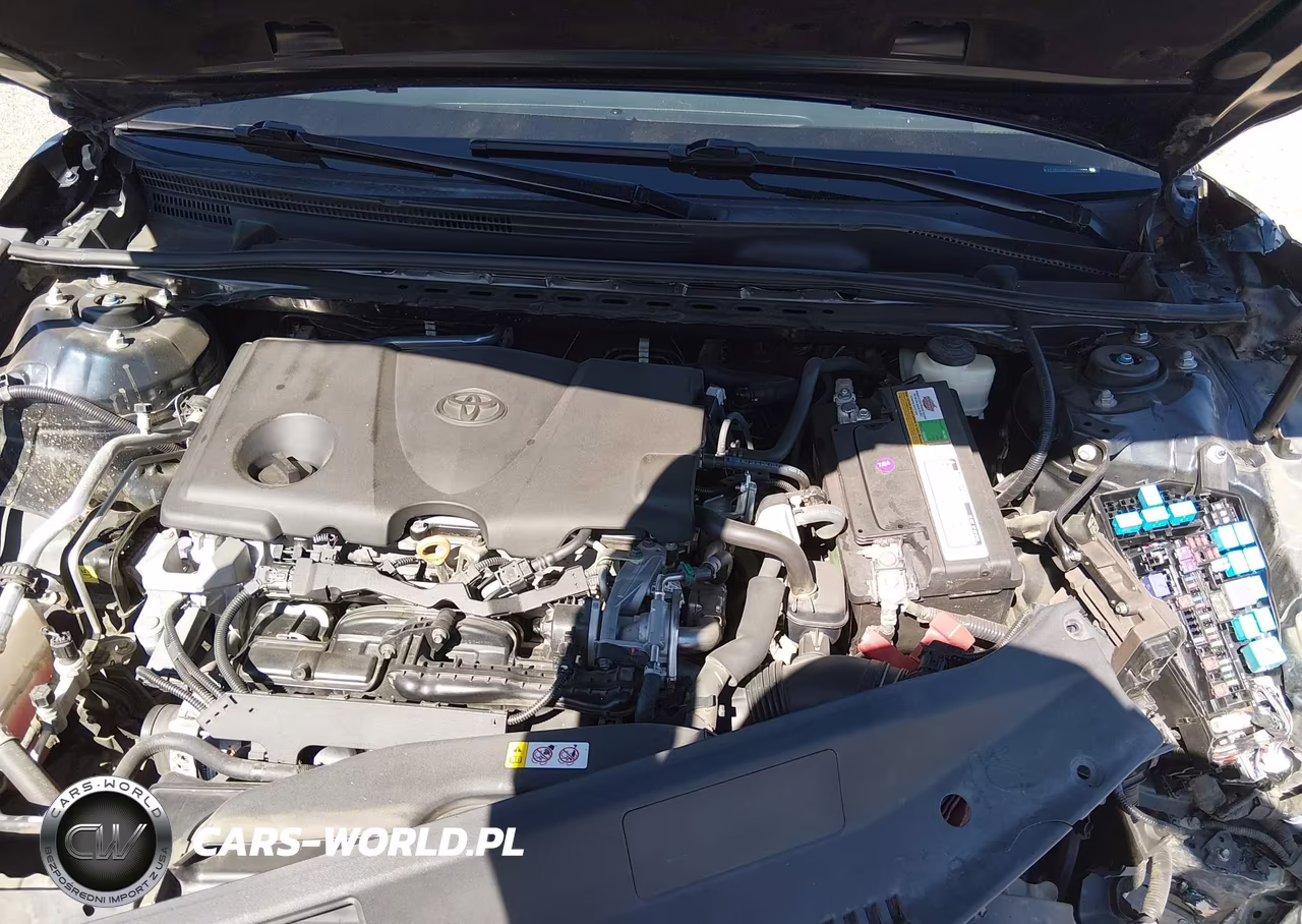 2018 Toyota Camry Se VIN:4T1B11HK3JU520992 - 10