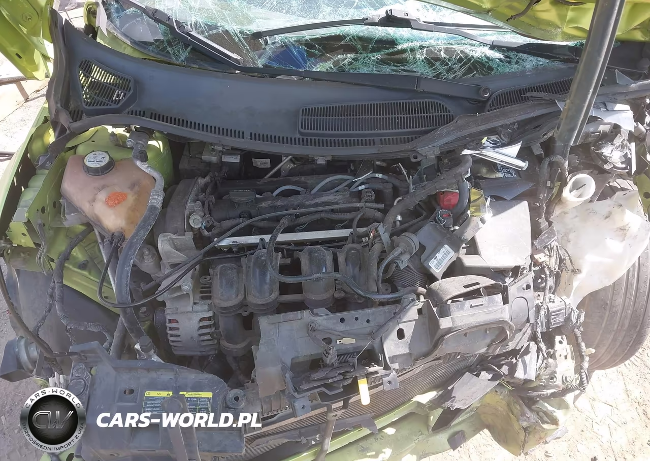 2011 Ford Fiesta Sel VIN:3FADP4CJ1BM224263 - 10