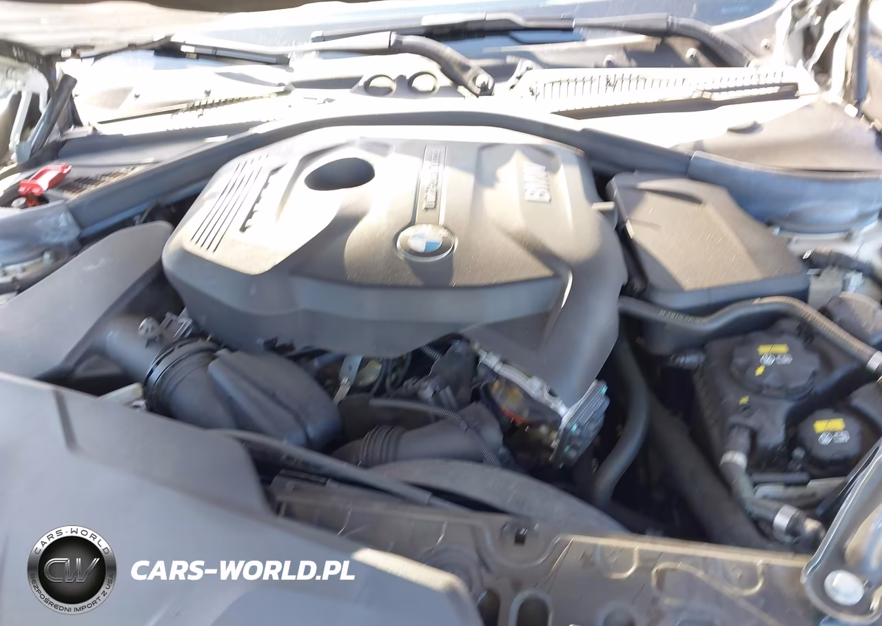 2020 BMW 230I VIN:WBA2M7C08L7F19309 - 10