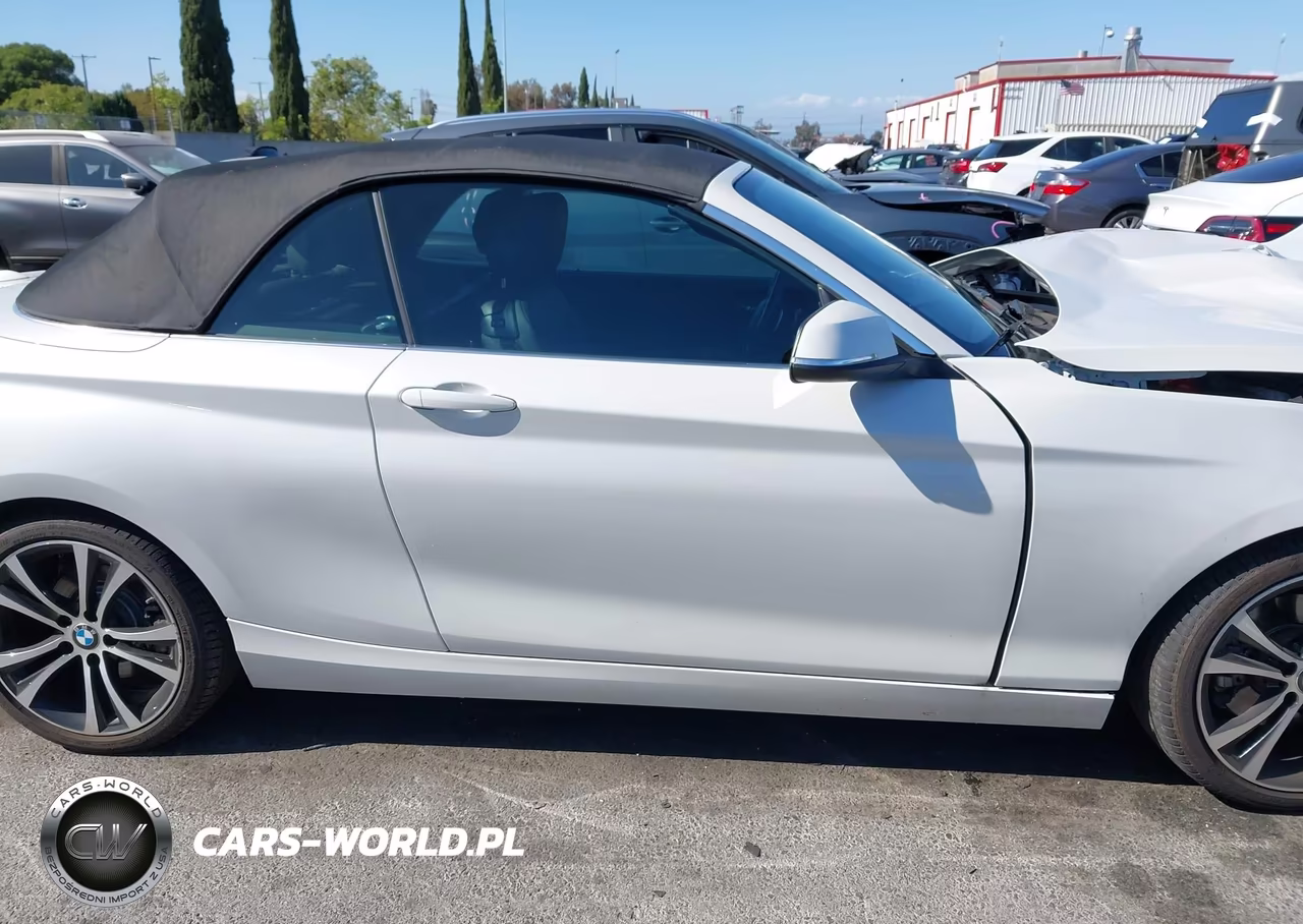 2020 BMW 230I VIN:WBA2M7C08L7F19309 - 13