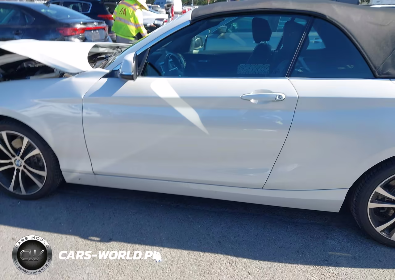 2020 BMW 230I VIN:WBA2M7C08L7F19309 - 14