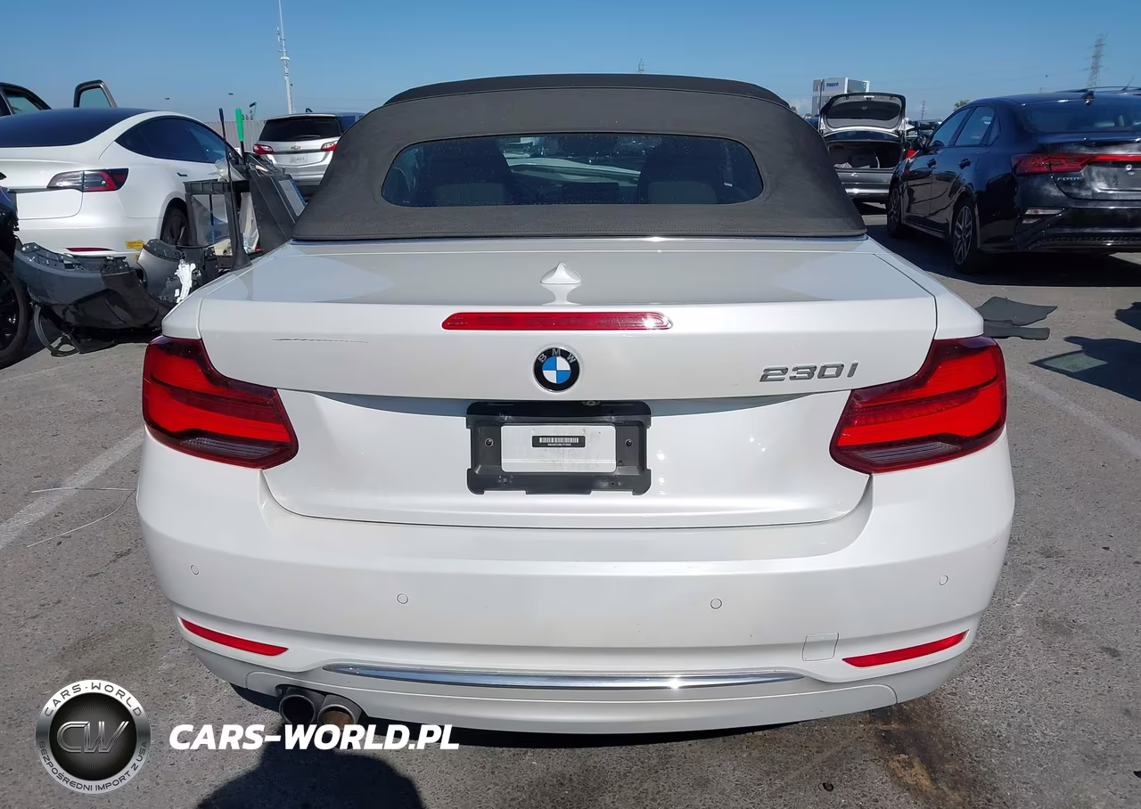 2020 BMW 230I VIN:WBA2M7C08L7F19309 - 16