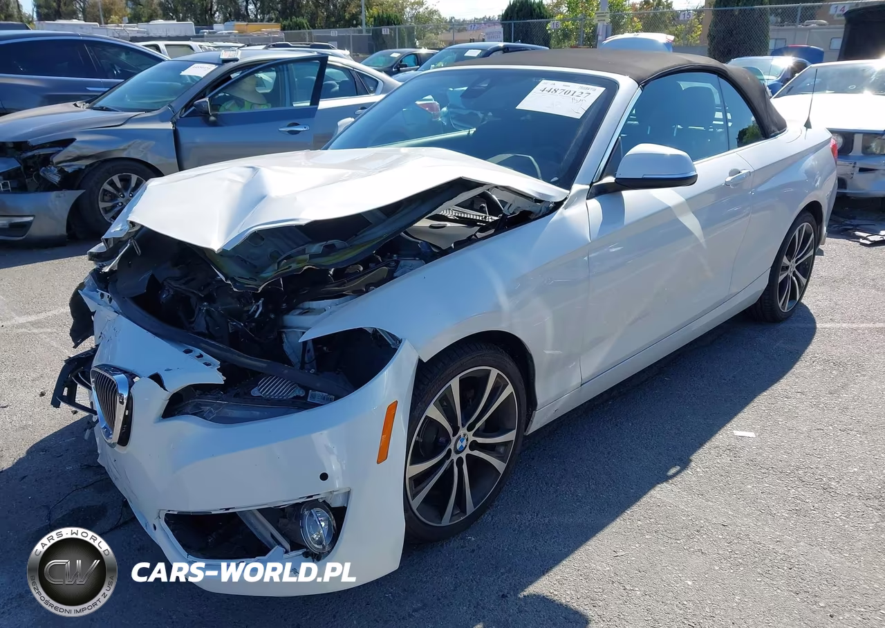 2020 BMW 230I VIN:WBA2M7C08L7F19309 - 2