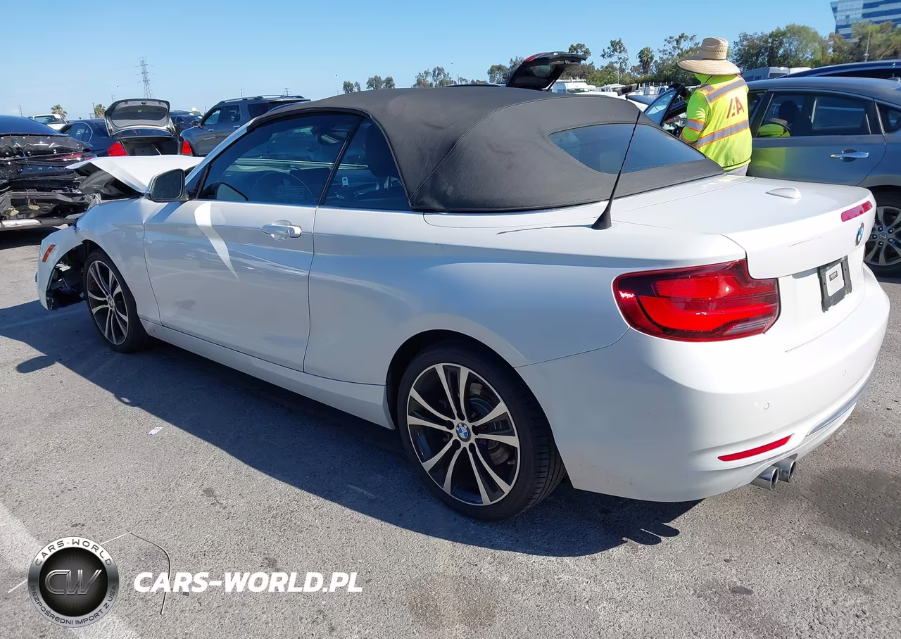 2020 BMW 230I VIN:WBA2M7C08L7F19309 - 3