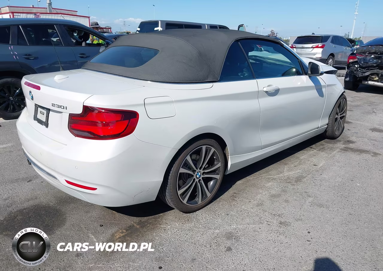 2020 BMW 230I VIN:WBA2M7C08L7F19309 - 4
