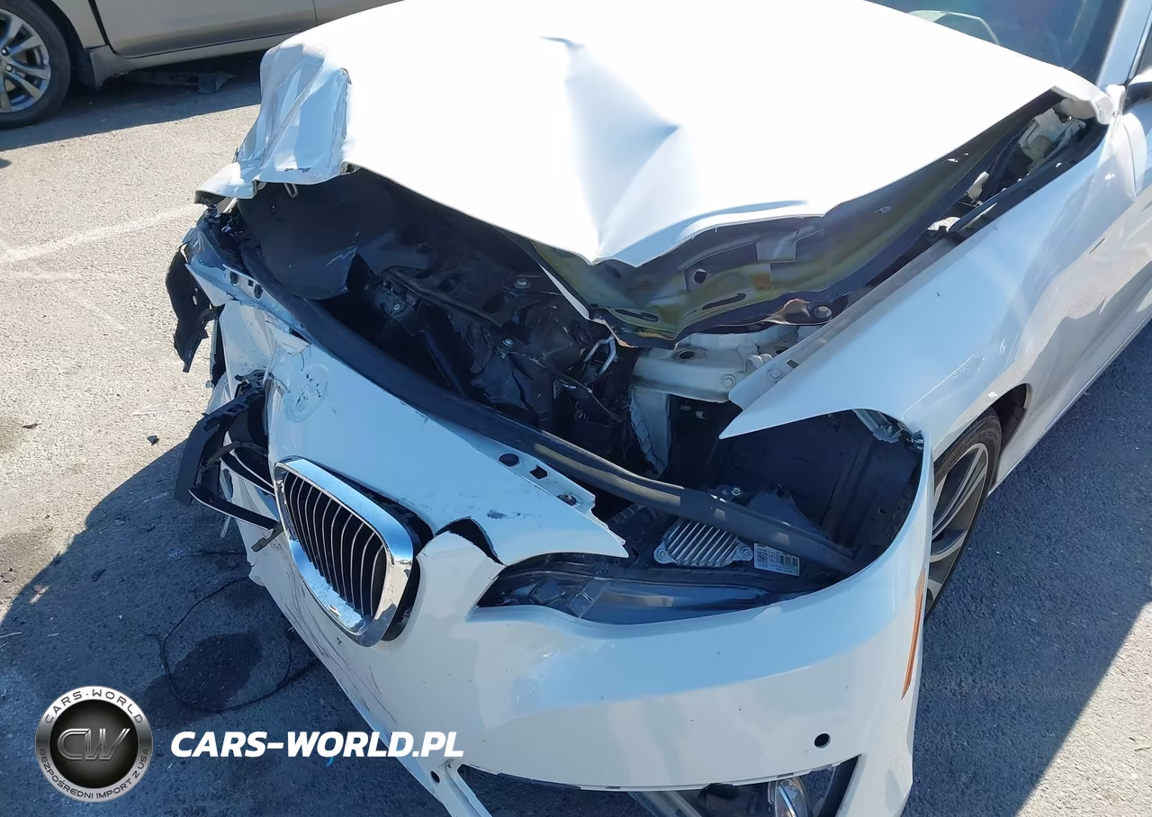 2020 BMW 230I VIN:WBA2M7C08L7F19309 - 6